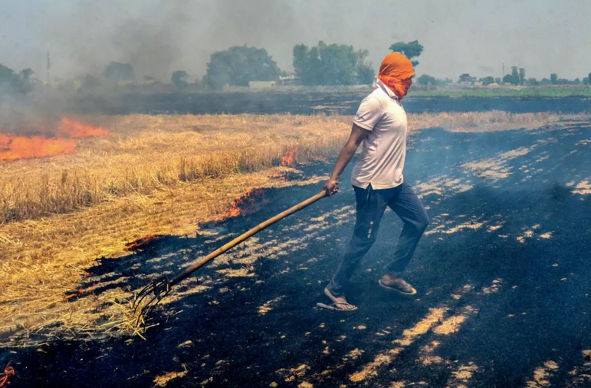 पंजाब में पराली जलाने वाले हो जाए सावधान, डिप्टी कमिश्नर ने अधिकारियों को दिया आदेश