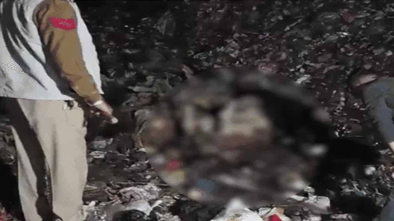 लुधियाना : कूड़े के डंप में मिले गायों के शव, हिंदू नेताओं में आक्रोश, पढ़ें