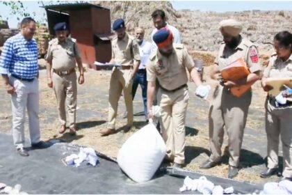 जालंधर कमिश्नरेट पुलिस ने 40 किलो से अधिक नशीला पदार्थ किया नष्ट, पढ़ें