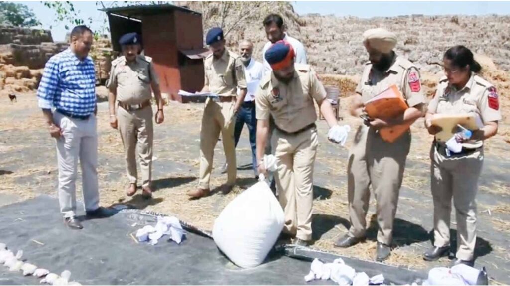 जालंधर कमिश्नरेट पुलिस ने 40 किलो से अधिक नशीला पदार्थ किया नष्ट, पढ़ें