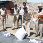 जालंधर कमिश्नरेट पुलिस ने 40 किलो से अधिक नशीला पदार्थ किया नष्ट, पढ़ें