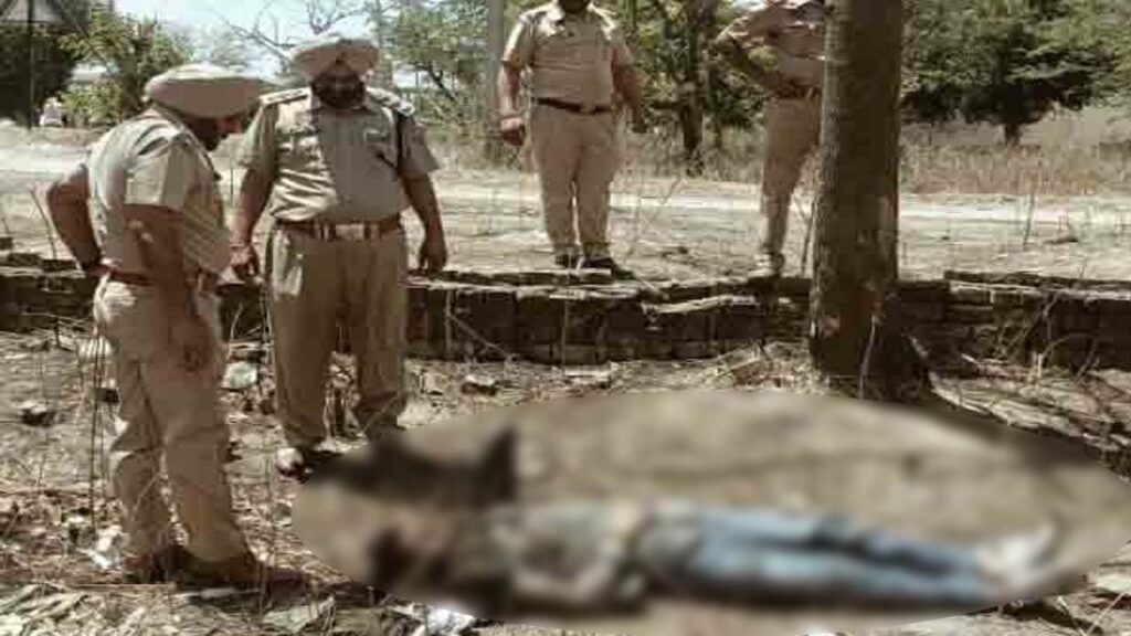 जालंधर के इस इलाके में मिली लाश, फैली सनसनी