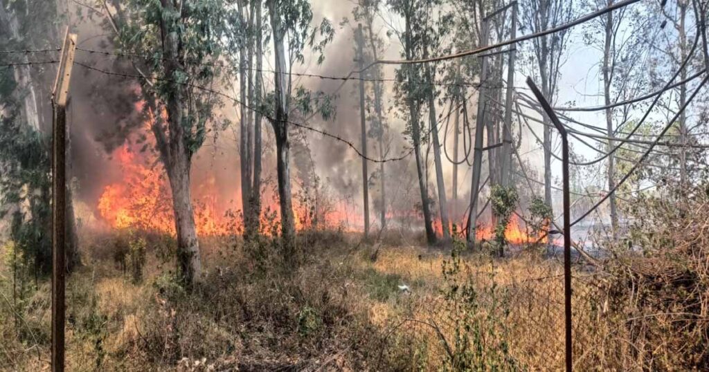 जमशेर खास बिजली घर में लगी आग, मौके पर पहुंची फायर ब्रिगेड की गाड़ियां, पढ़ें
