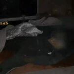 जालंधर में संदिग्ध परिस्थितियों में व्यक्ति की मौत, मेन चौक से शव बरामद