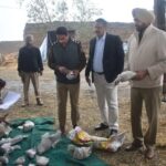 जालंधर पुलिस ने 56 मामलों में जब्त नशीले पदार्थों को किया नष्ट