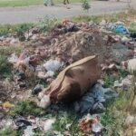 जालंधर में हत्या के बाद शव बोरे में भरकर फेंका, बदबू आने पर लोगों ने पुलिस को दी सुचना