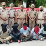 फिल्लौर पुलिस की बड़ी कार्रवाई: 8 नशा तस्कर गिरफ्तार, हेरोइन और नशीली गोलियां बरामद