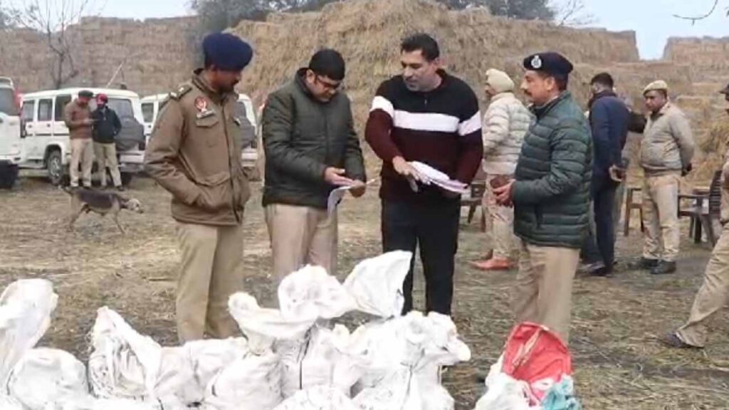जालंधर कमिश्नरेट पुलिस ने तस्करों से जब्त किए बड़ी मात्रा में नशीले पदार्थों को किया नष्ट ।