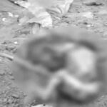 जालंधर के इस इलाके में मिला 6 माह का भ्रूण, राहगीर ने देख पुलिस को किया सूचित, अज्ञात के खिलाफ FIR दर्ज