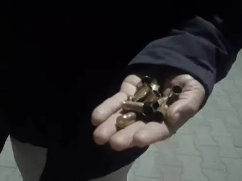 पंजाब में AAP नेता के घर पर अंधाधुंध फायरिंग, 5 करोड़ की फिरौती की चिट्ठियां फेंककर गैंगस्टर फरार