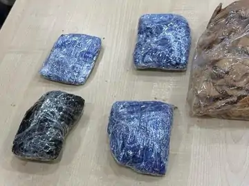 लुधियाना में DRI की बड़ी कार्रवाई: अमेरिका भेजे जा रहे पार्सल से 735 ग्राम अफीम बरामद