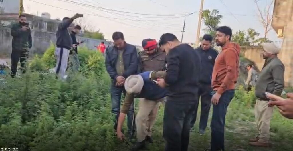 जालंधर के इस इलाके में खाली प्लाट से कटा हुआ सिर बरामद, इलाके में दहशत